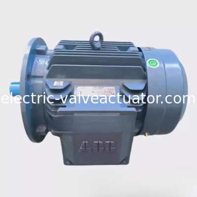 Giá tốt. M2QA200LB6 22KW 6 cực Máy động cơ không đồng bộ ba pha IC411 tự làm mát trực tuyến