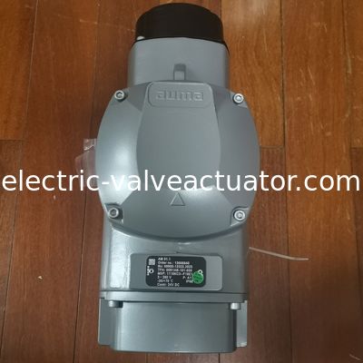 Giá tốt. Bộ điều khiển Aoma AM01.1 Mô-đun điều khiển tự động hóa công nghiệp 24V DC trực tuyến