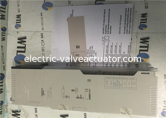 Giá tốt. Schneider Electric Programable Logic Controller 140CPS11420 Power Supply Module trực tuyến
