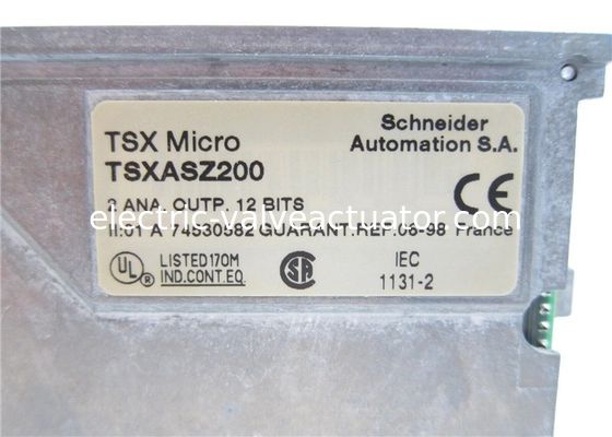 Giá tốt. Schneider Electric TSXASZ200 TSX Micro 2 đầu ra tương tự +- 10 V 0-20 4-20 mA trực tuyến