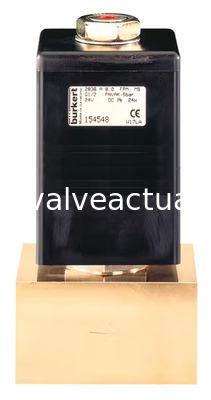 Giá tốt. Bürkert loại 2836 Công nghệ điện tử đầu ra biến cho hệ thống chất lỏng công nghiệp trực tuyến